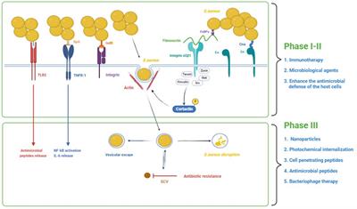 Non-antibiotic strategies for prevention and treatment of internalized Staphylococcus aureus